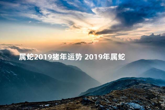 属蛇2019猪年运势 2019年属蛇运势